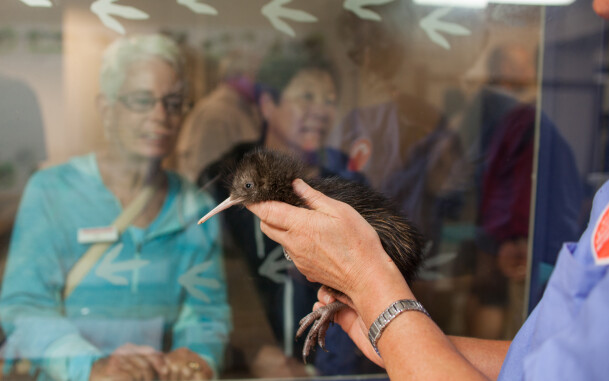Woman holding kiwi towards window as people look through 